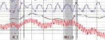 polygraph exam in Brea